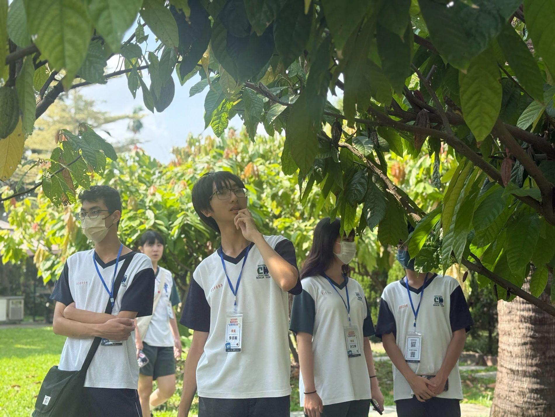 實地探索