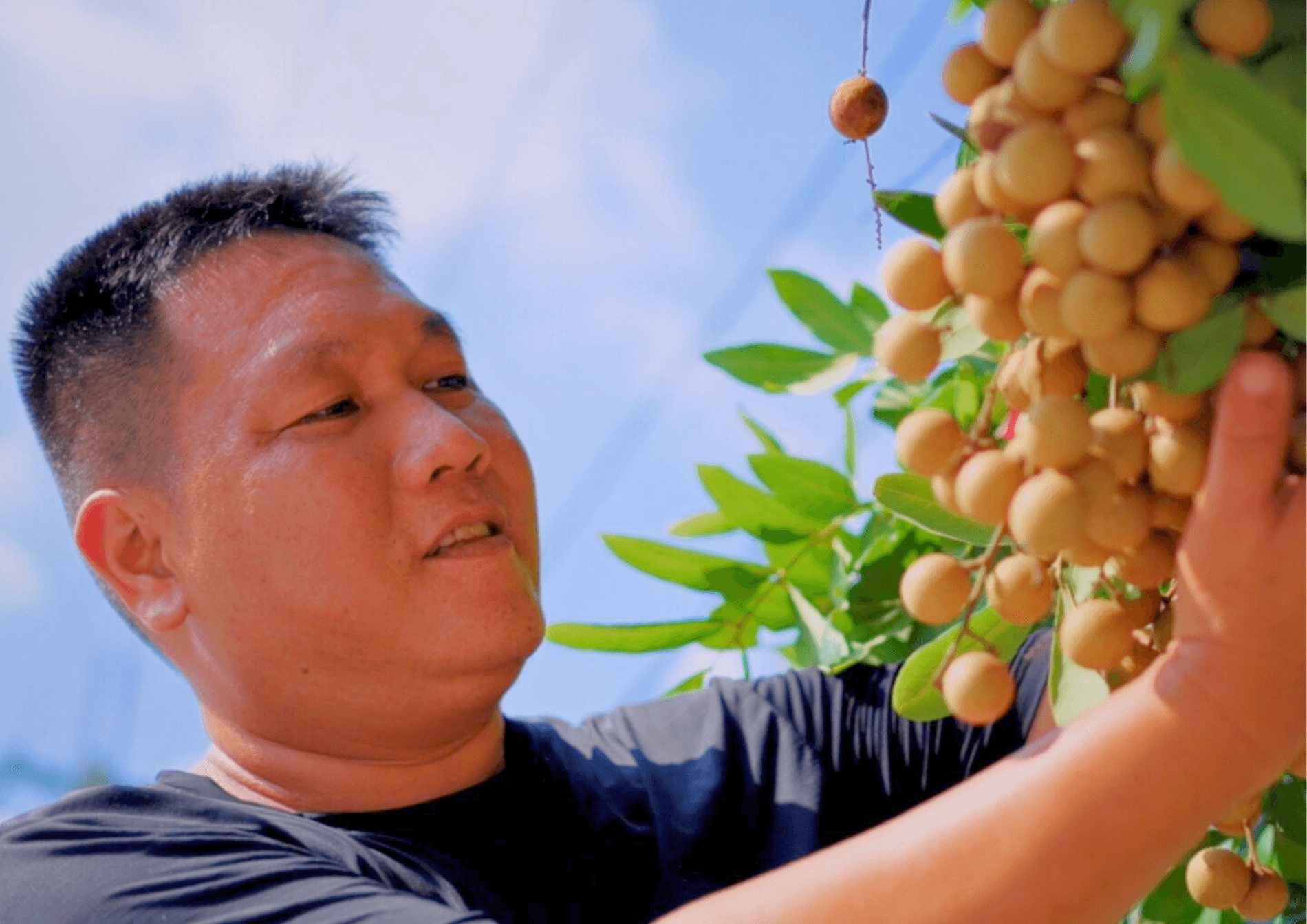 Jun Shuo Farm_1