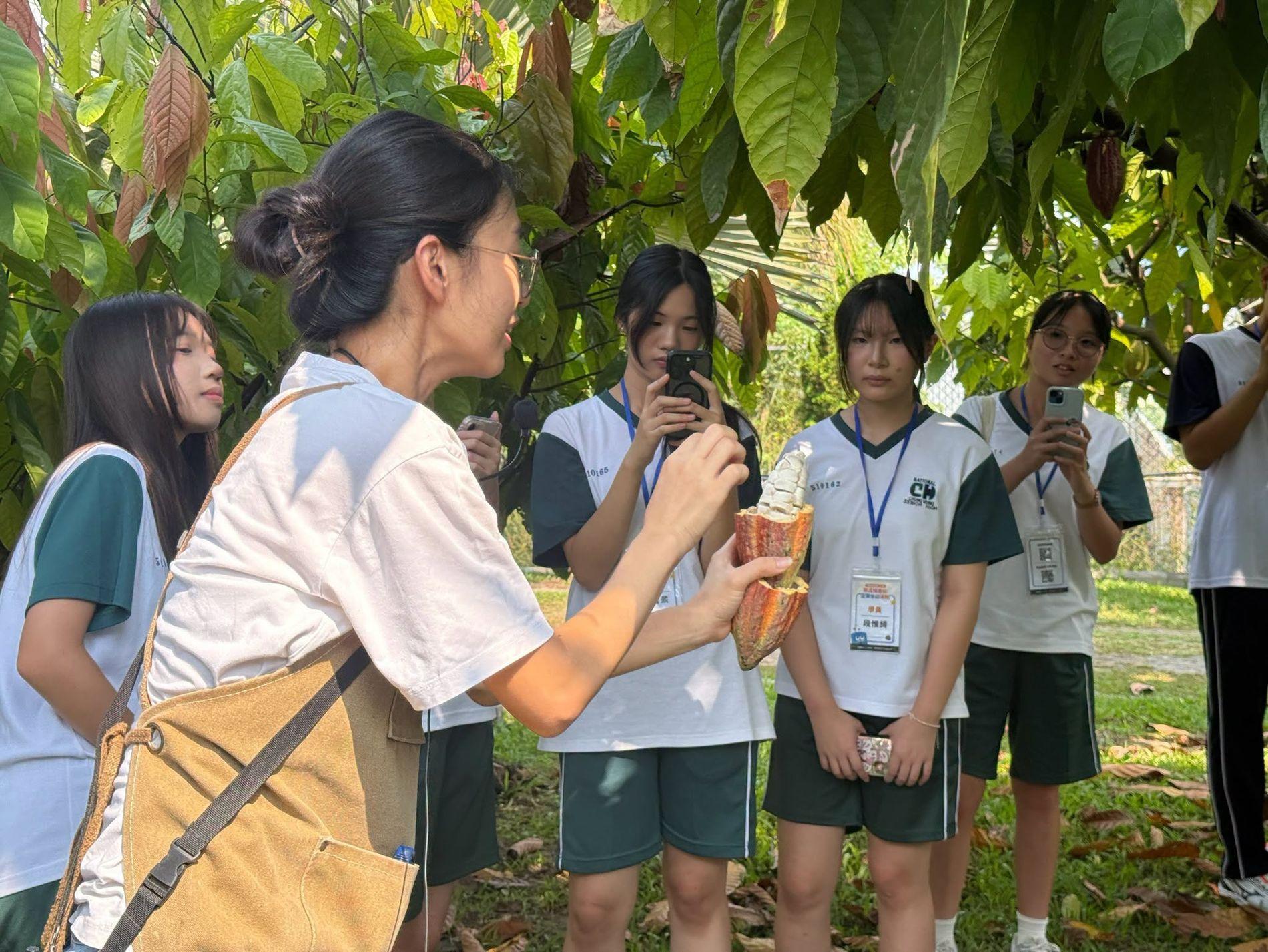 實地解說